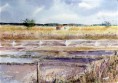 /album/galerie-de-photos-aquarelles/marais-salant-re-1-jpg/